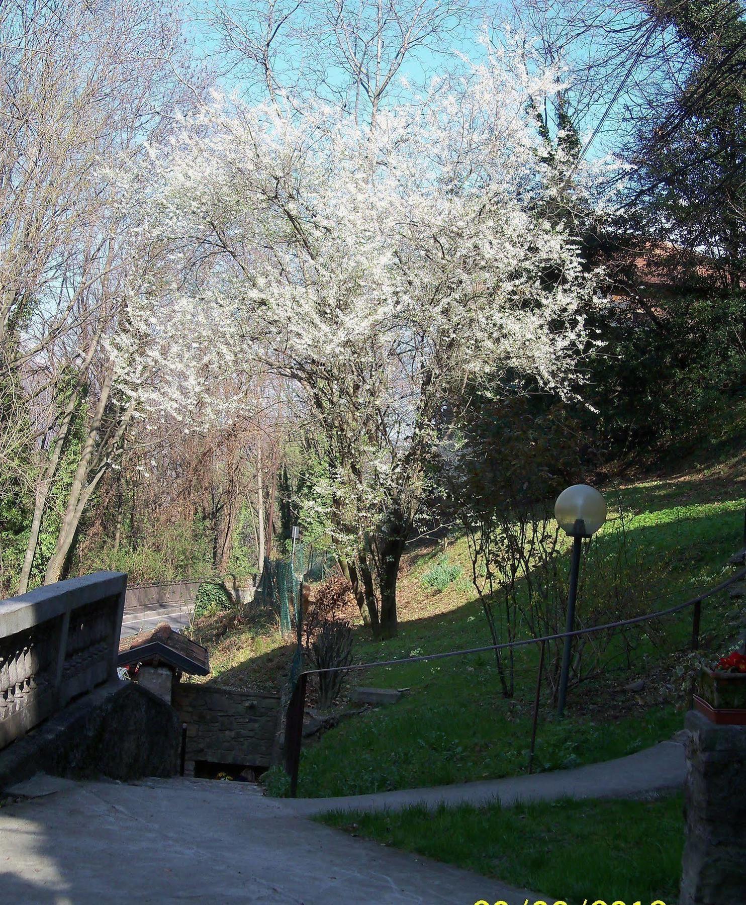 B&B I Ghiri Bérgamo Exterior foto